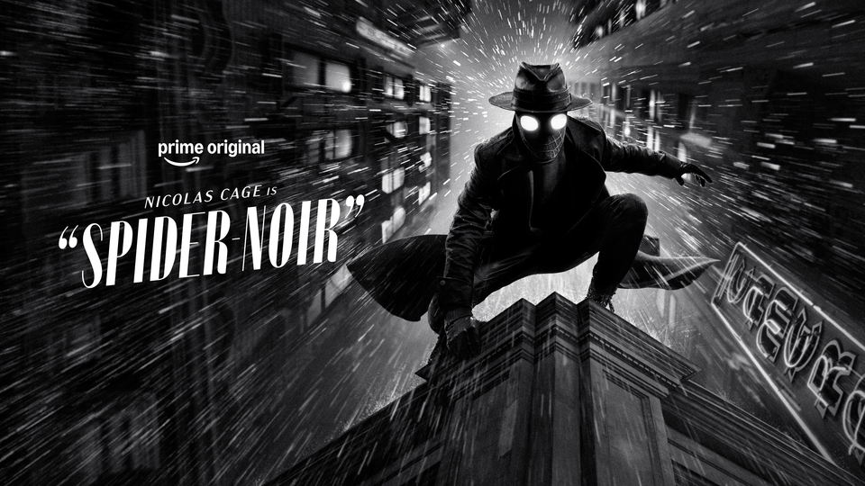 Spider Noir